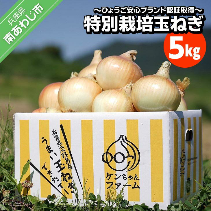 【ふるさと納税】【ケンちゃんファーム】＼うまい玉ねぎできたでー／ 特別栽培玉ねぎ5kg 〜ひょうご安心ブランド認証取得〜