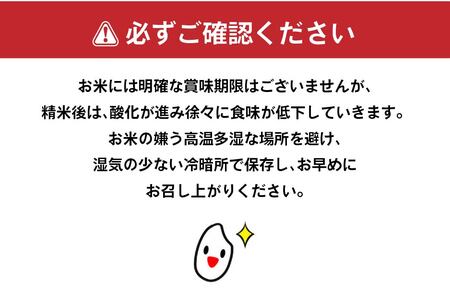 青森県産米味くらべセット 各5kg 合計10kg 米 お米 コメ 白米 精米 ごはん ご飯 食べ比べ はれわたり まっしぐら 2種 セット 詰め合わせ 食べ比べ 青森県 八戸市　