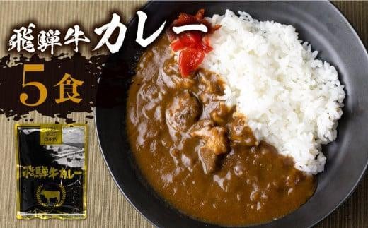 【10月発送】飛騨牛カレー (5袋) ビーフカレー 飛騨牛 カレー レトルトカレー  簡易包装 ふるさと清見  DC005VC10