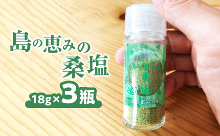 島の恵みの桑塩 （ビンタイプ）×3瓶 W011-110u-02 塩 天然塩 天然塩 食塩 海塩 ソルト 海水 天然 桑 調味料 シーソルト ミネラル 糖尿病 予防 血糖値 血圧 抑制 便通 改善 瓶 沖永良部 沖永良部島 島の恵み工房 サロンバー エスポワール ふるさと納税 鹿児島 和泊町 おすすめ ランキング プレゼント ギフト