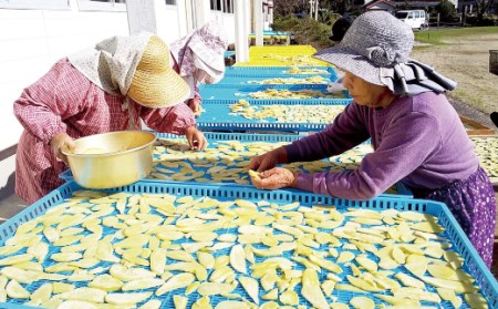 無添加 芋もち 2種セット（プレーン味＆紫芋味）計12枚 先行予約 餅 芋餅 スイーツ 和菓子 おやつ デザート お菓子 かんば餅 干し芋 いももち さつまいも おいしい 美味しい プレーン 紫芋【R