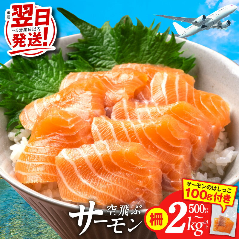 【高評価☆4.59】 ＼発送時期が選べる／ アトランティックサーモン 1kg以上 福袋 サーモン フィレ 刺身 海鮮丼 カルパッチョ 寿司 サラダ ソテー 泉佐野市 お取り寄せ グルメ 送料無料