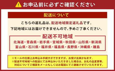 【2025年12月31日着】冷蔵 至高の匠重 特大三段重おせち おせち料理 おせち 三段重 3～4人前 27品目 おせち2026 おせち料理2026
