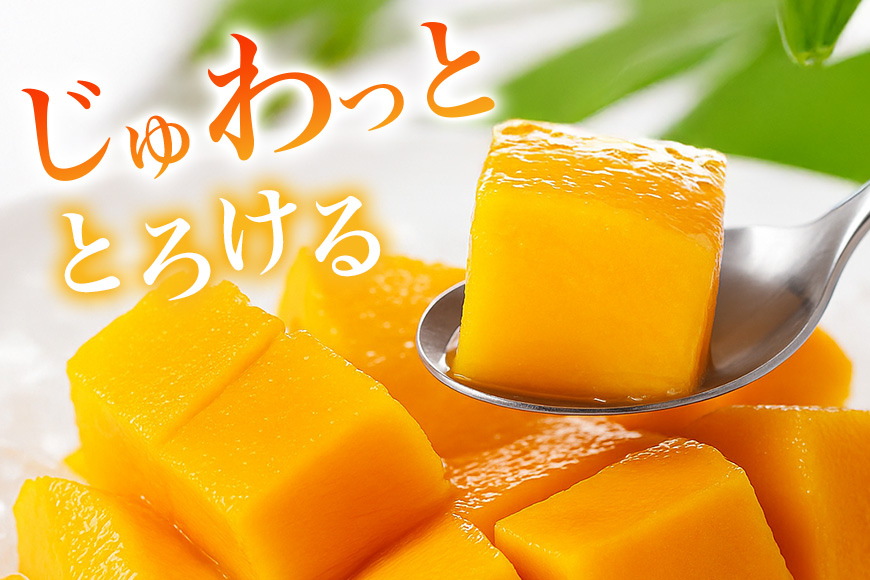 【2026年発送】かねよしマンゴーの甘くとろけるマンゴー1kg(家庭用)