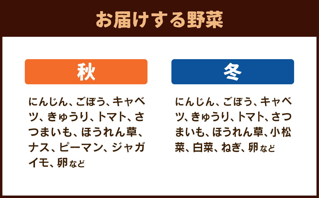 新鮮たまごと旬の野菜セット ／ 生卵 タマゴ 詰合せ セット 熊本県 特産品