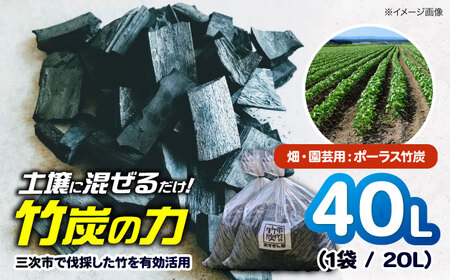 畑・園芸用 ポーラス竹炭 40L [APDE002] 炭