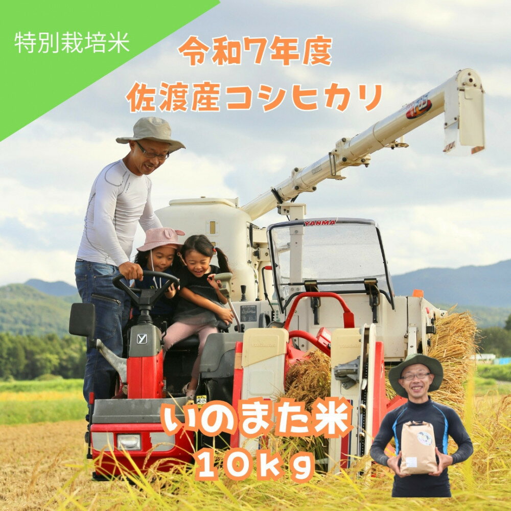 【ふるさと納税】令和7年産コシヒカリ　精米（無洗米）10kg　農家直送　佐渡市いのまた米 | 佐渡市 令和7年産 コシヒカリ 精米 無洗米 10kg