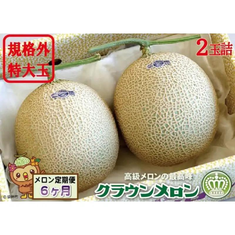 メロン 6ヶ月 定期便 クラウン 規格外 特大玉 2玉 メロン