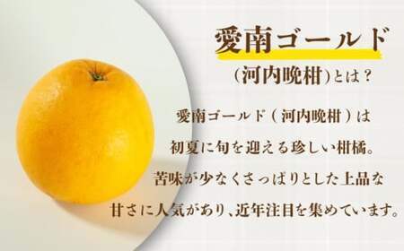 【訳あり】 愛南ゴールド 約10.5kg 柑橘 フルーツ みかん 河内晩柑  