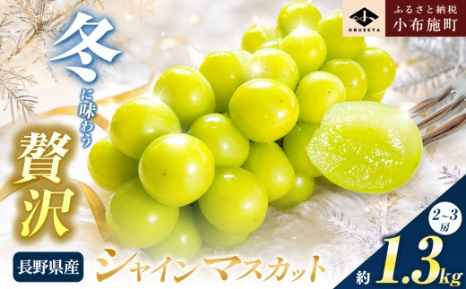 蔵出し冬のシャインマスカット 約1.3kg 2～3房 ［小布施屋 ］長野県 ぶどう フルーツ 果物 冷蔵便 クール便 令和8年産【2026年11月中旬～2027年2月発送】［B-503］
