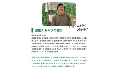 ＜アルテminiの宝石箱 約1kg×1箱＞フルーツトマト 高知県 佐川町 トマトハウスナカムラ【常温】栽培期間中化学農薬・化学肥料不使用　＜2025年1月～5月頃まで発送＞