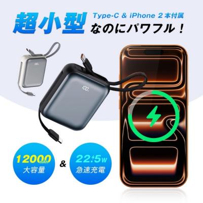 ふるさと納税 名古屋市 【シルバー】モバイルバッテリー 12000mAh 46.2Wh 【PL保険加入済み製品】 |  | 01