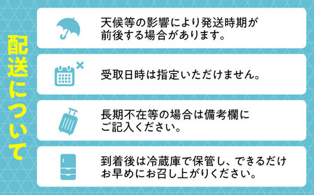 スイカ 金色羅皇【先行予約】西瓜 スイカ 1玉 AREW003
