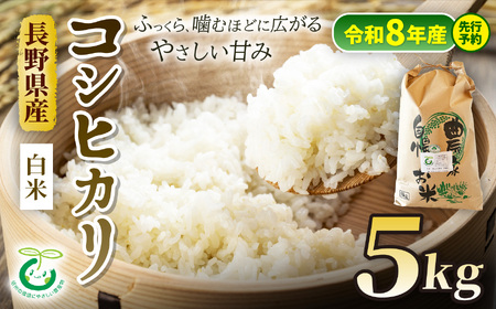 【令和8年産先行予約】コシヒカリ 特別栽培米 白米 5kg | そば処こうや