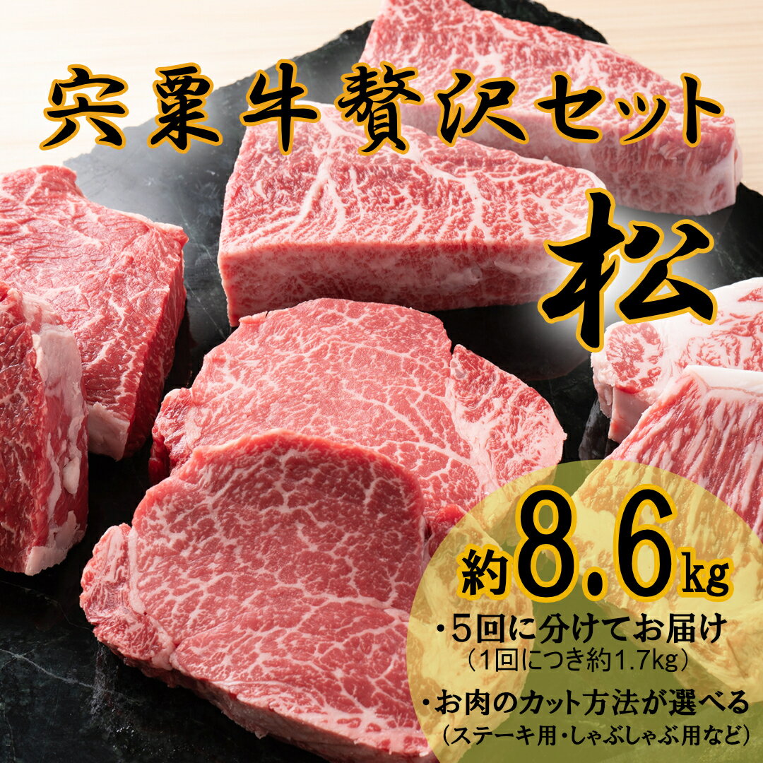 【ふるさと納税】F12　宍粟牛　贅沢セット　【松　8.6Kg】　ステーキ　しゃぶしゃぶ　すき焼き　ロース　定期発送　冷蔵発送　宍粟牛　国産和牛　黒毛和牛　国産　3年肥育　牛肉　御中元　贈り物　BBQ　キャンプ　ご褒美