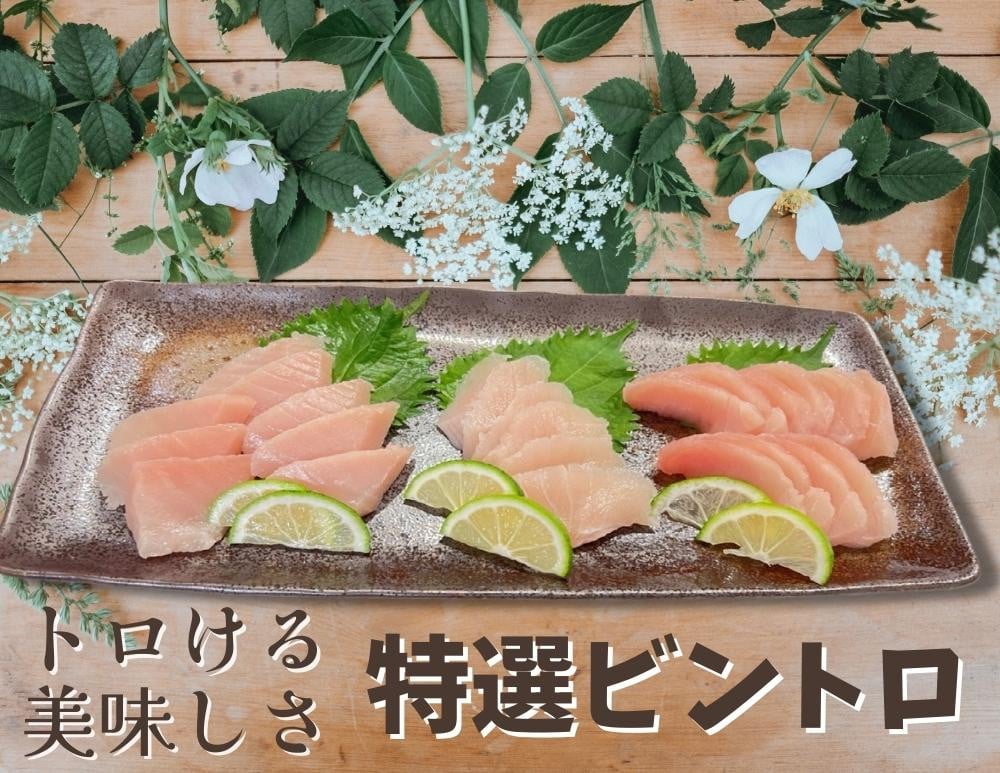 
            特選ビンチョウマグロ【トロビンチョウ】　M081-005
          
