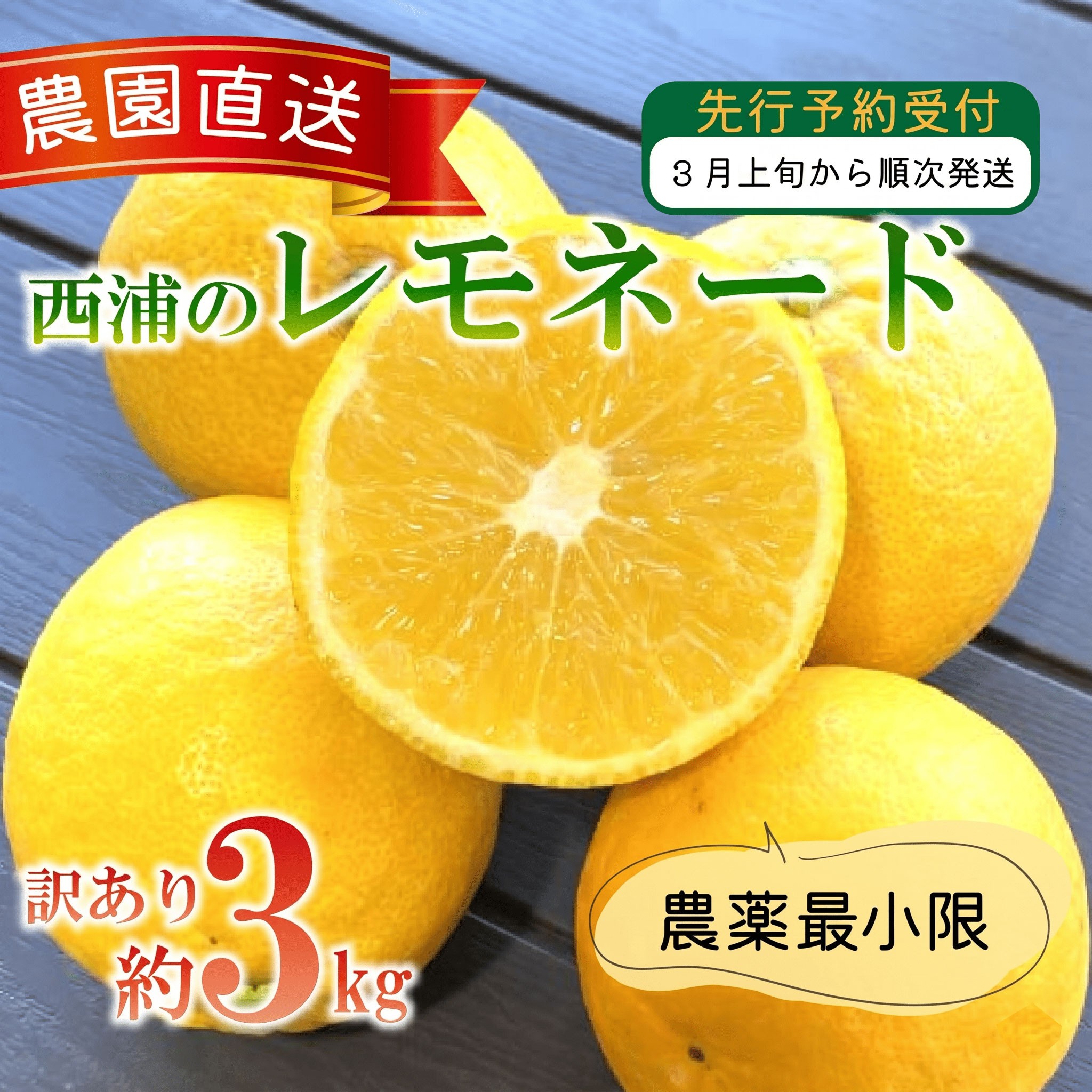
                  訳あり 西浦 レモネード 3kg 木負観光みかん園 レモン 檸檬 柑橘 フルーツ 旬 果物 国産 産地直送 季節限定 西浦 沼津市 静岡県
                