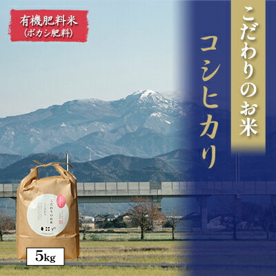 【ふるさと納税】北本農場こだわりのお米令和6年度産コシヒカリ精米5kg 有機肥料（ボカシ肥料）で育てたお米 白米 ライス ブランド米 ご飯 炭水化物 毎食 朝ごはん ランチ 昼ごはん 夜ごはん 食卓 主食 おにぎり 直送 　お届け：2025年9月22日～順次配送