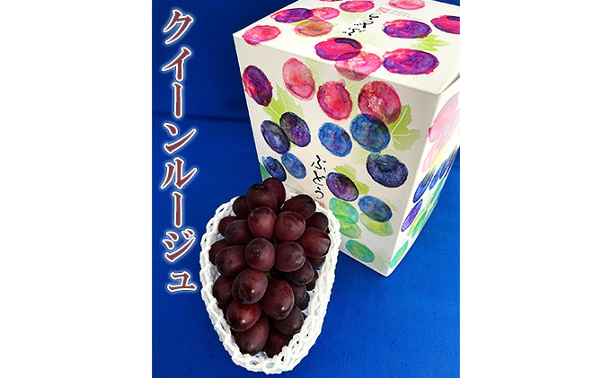 
            村松農園 クイーンルージュ1房 約500g 果物 新種 葡萄 ブドウ 種なし フルーツ デザート 食後 おやつ 産地直送 長野県産
          