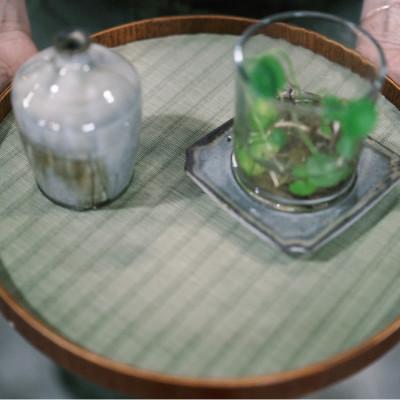 ふるさと納税 あさぎり町 畳のおぼん　1枚(直径270mm) |  | 02