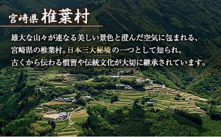 宮崎県産 はちみつ 「椎葉の秘蜜」 大 250g瓶 1個