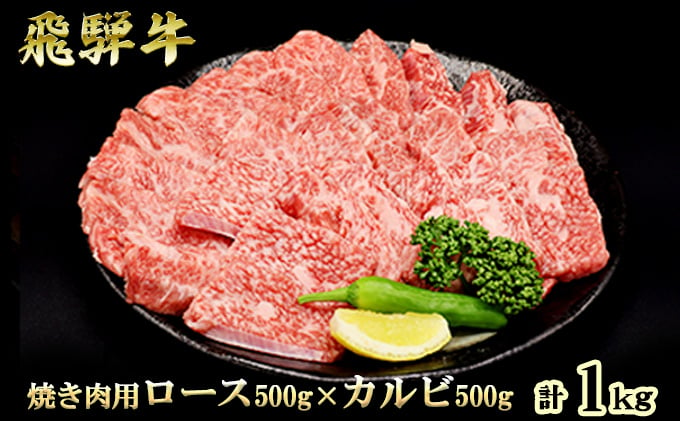 
飛騨牛 焼肉 ロース＆カルビ セット 計1kg A5 和牛 牛肉 ブランド牛 お肉 霜降りロース カルビ 食べ比べ 焼肉用 バーベキュー BBQ キャンプ アウトドア 炭火　よくばり　各500g　保存に便利
