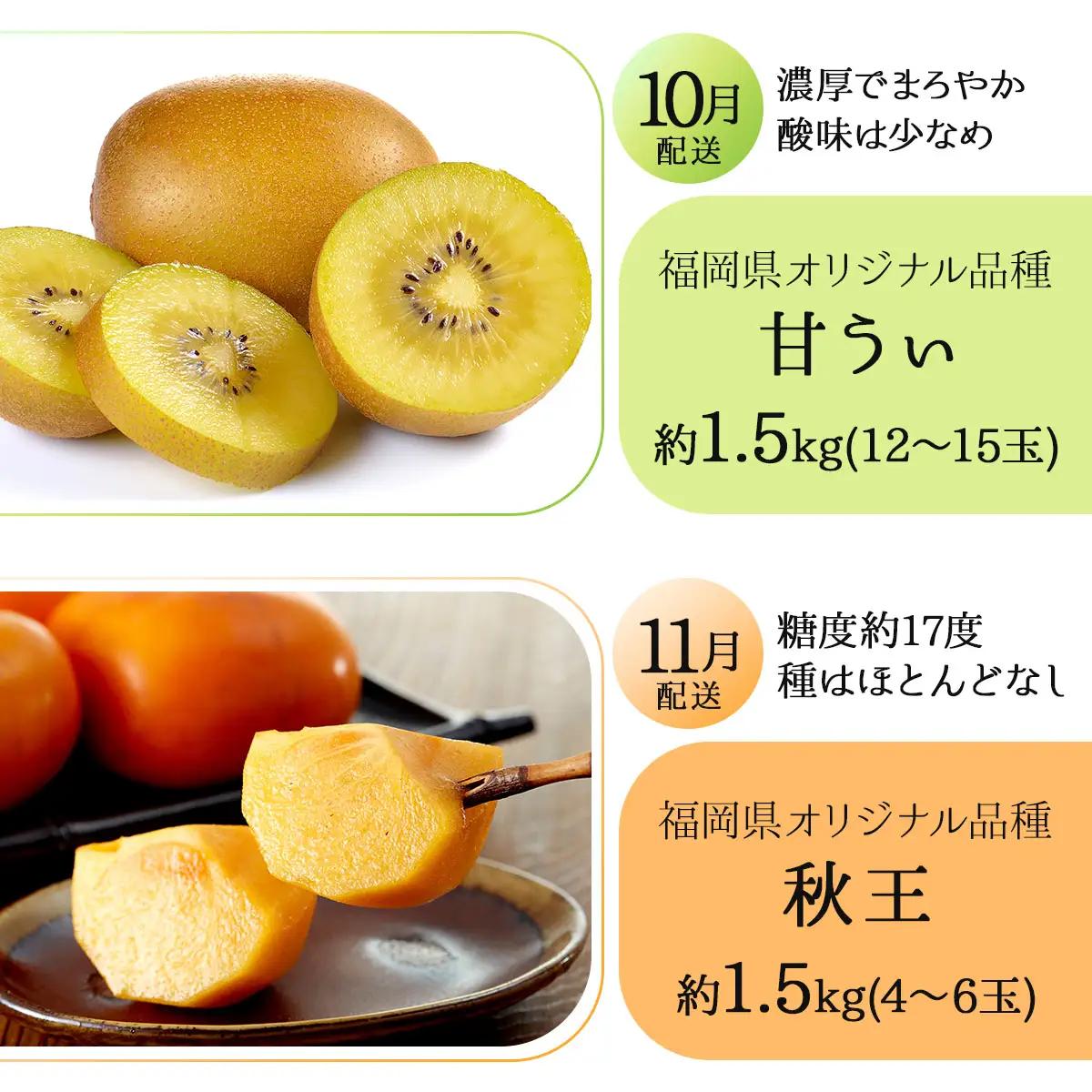 ＜4回定期便＞福岡ブランドの旬のフルーツ定期便 (篠栗町)｜イチジク ミカン キウイ 柿 イチゴ【NF020】