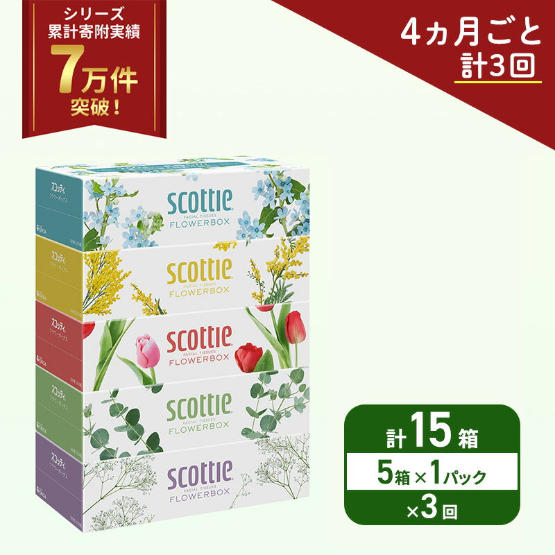 【ふるさと納税】 定期便 ティッシュ 5箱 (4ヶ月ごと計3回) スコッティ フラワーボックス 日本製 長持ち 日用品 生活用品 必需品 消耗品 便利 楽 コンパクト 防災 備蓄 備え 安心 送料無料 累計寄附実績7万9千件超 宮城県 岩沼市