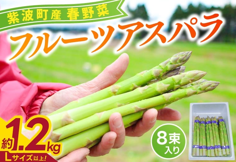 
                  ＼先行予約・数量限定／紫波町産 フルーツアスパラ ★Lサイズ以上★ 約1.2kg (150g束×8束入り) 生でもたべれる 新鮮野菜 木酢液防虫 露地栽培の野菜 (CS002)
                