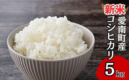 新米 令和7年産 コシヒカリ 5kg 新米新米新米新米新米