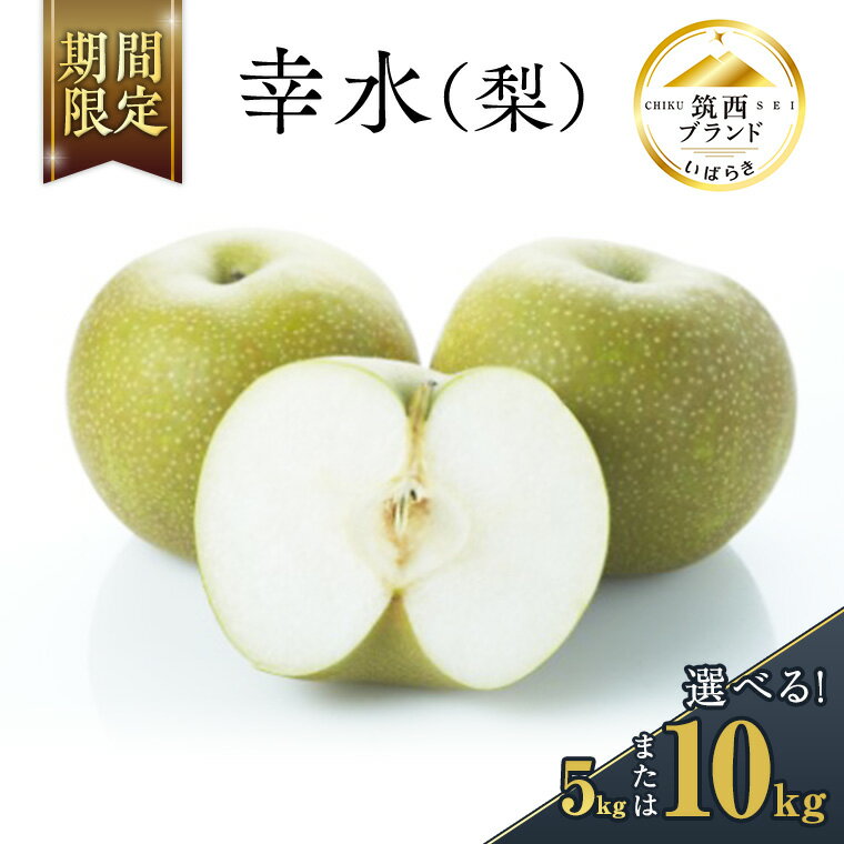 【ふるさと納税】【 JA 北つくば 】 筑西ブランド 認証品 幸水 ( 選べる 5kg 10kg ) 果物 2025年産 先行予約 梨 フルーツ なし ナシ 幸水梨 くだもの デザート 茨城