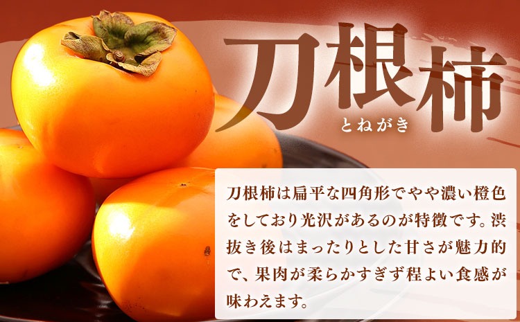 佐那河内村産 こだわりの刀根柿 500g (真空パック) 山本清 《30日以内に出荷予定(土日祝除く)》│ 干し柿 干柿 柿 かき カキ フルーツ 果物 くだもの 農家直送 家庭用 秋の味覚 旬 徳島県 佐那河内村---sanagouchi_ymk_3_500g---