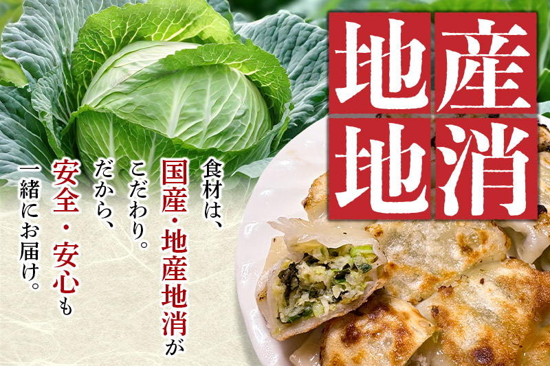 こだわりの手作り 餃子・焼売セット 6種(計58個)【国産食材使用 冷凍餃子 冷凍惣菜 お取り寄せグルメ 晩ごはん おつまみ お弁当に便利】