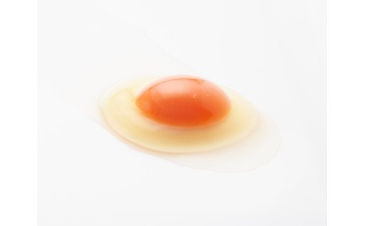 抜群に美味しい!!濃厚たまご!!アスタ卵【 卵 ふるさと納税 国産 たまご タマゴ たまご アスタキサンチン含有赤卵 お取り寄せ 新潟 燕三条 燕市 送料無料 】