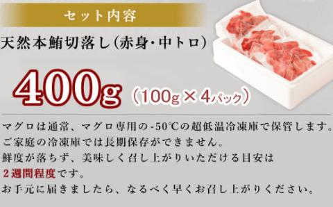 【遠洋漁船高豊丸漁獲】天然本マグロ（赤身・中とろ）切落し４００ｇ _ 冷凍 お手軽 切り落とし 中トロ 赤身 セット 高知 室戸