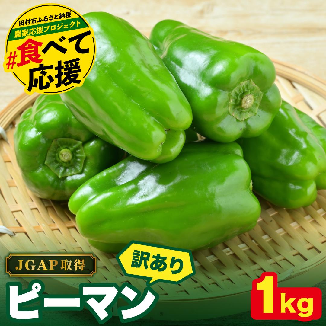農家さん応援！ 【訳あり】 ピーマン 1kg JGAP取得 農家直送 生活応援 福島県 田村市 株式会社Mファーム