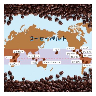 ふるさと納税 三木市 自家焙煎 プレミアム珈琲豆 3種セット(ブルーマウンテンNO.1・エメラルド・アンデス)【豆】 |  | 03