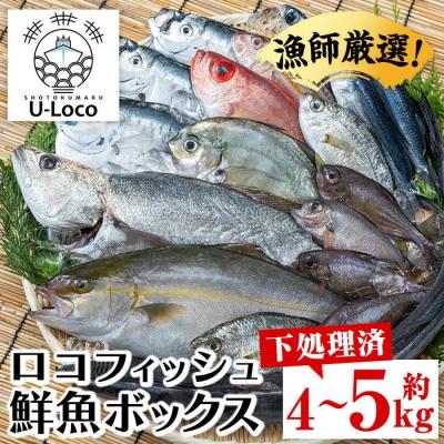 ふるさと納税 肝付町 漁師厳選!ロコフィッシュ(地魚) 下処理済 鮮魚 ボックス(約4〜5kg)　A78004