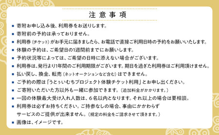 【ふるさと納税】☆沖縄芸能三線体験☆～沖縄貸衣装体験付き～