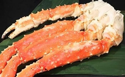 C-60016【12/17まで年内配送】  冷凍ボイルたらばがに脚700g～900g×1肩