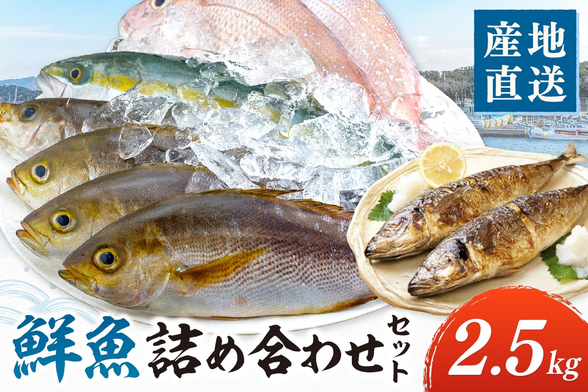 
            御坊産　鮮魚セット2.5kg 鮮魚 天然 詰め合わせ 朝どれ 冷蔵 新鮮 アジ サバ タチウオ 太刀魚 タイ 漁港 和歌山県産 御坊産 【配送不可地域】沖縄・北海道・東北・九州
          