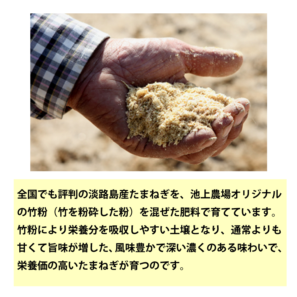 淡路島　池上農場の完熟たまねぎ「あやたけ」5kg