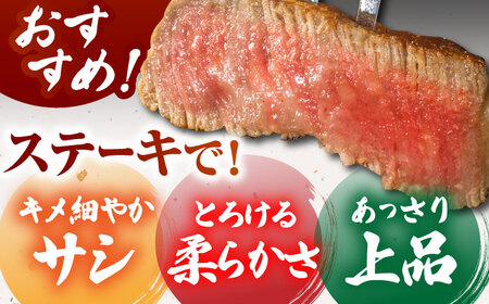 【何が届くかお楽しみ】佐賀牛 ステーキ 400g （サーロイン/赤身） 【がばいフーズ】A5ランク 佐賀牛[HCS078]