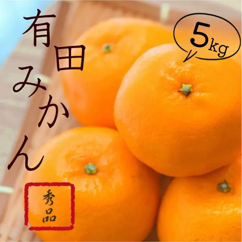 紀州有田みかん 秀品 約５kg(МまたはSサイズ)※2026年11月24日より順次発送予定 / 和歌山 有田 みかん 果実 果物【sml108A】