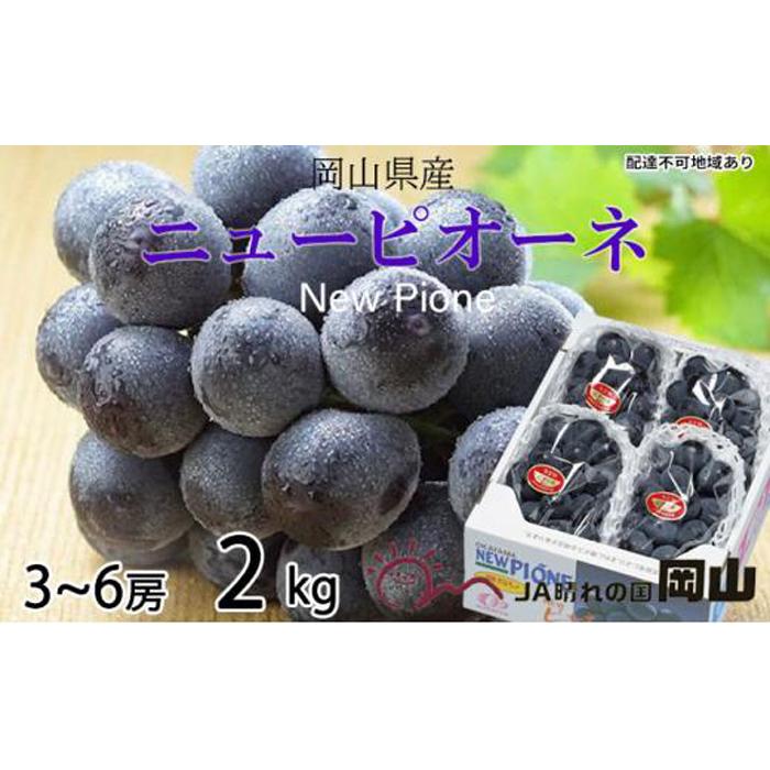 【ふるさと納税】ぶどう 2025年 先行予約 ニュー ピオーネ 3房～6房 約2kg ブドウ 葡萄 岡山県産 国産 フルーツ 果物 ギフト | フルーツ 果物 くだもの 食品 人気 おすすめ 送料無料