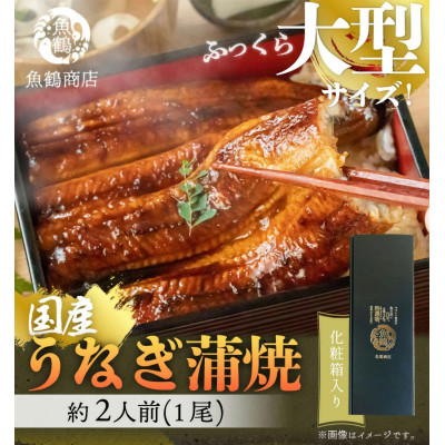【九度山町】大型サイズ　ふっくら柔らか国産うなぎ蒲焼き1尾(約2人前)　化粧箱入【配送不可地域：離島】【1116858】