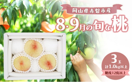 
                  桃 2026年 数量限定 岡山の白桃 『8・9月の旬な桃』 3玉 計1.0kg以上 糖度12度以上
                