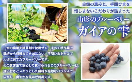 山形の朝摘み生ブルーベリー「ガイアの雫」500g(100g×5パック) FY25-109