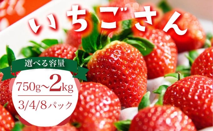 
                  【選べる容量】佐賀産 いちごさん【3/4/8パック】
                