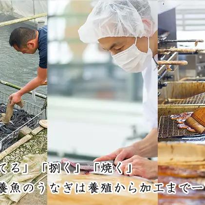 うなぎ ウナギ 蒲焼 きざみ 60g 5食 国産 うなぎ